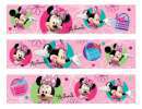 Minnie Mouse Icing Border